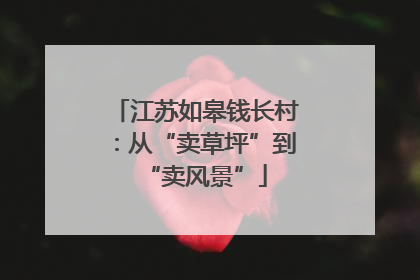 江苏如皋钱长村：从“卖草坪”到“卖风景”